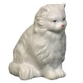 persian cat stress relievers