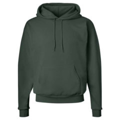 Hanes Ecosmart® Hooded Sweatshirt - 19685_f_fm