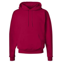 Hanes Ecosmart® Hooded Sweatshirt - 27662_f_fm