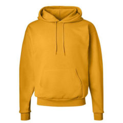 Hanes Ecosmart® Hooded Sweatshirt - 31141_f_fm