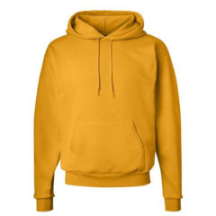 Hanes® Ecosmart® Hooded Sweatshirt - 31141_f_fm