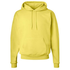 Hanes Ecosmart® Hooded Sweatshirt - 34223_f_fm