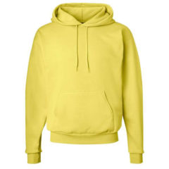 Hanes® Ecosmart® Hooded Sweatshirt - 34223_f_fm