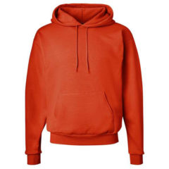 Hanes Ecosmart® Hooded Sweatshirt - 34224_f_fm