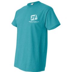 Gildan Heavyweight Cotton T-shirts - Antique Dome
