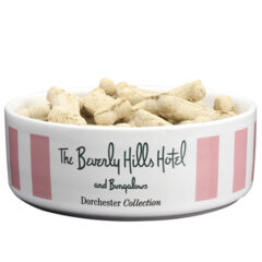 Ceramic Dog Bowl - 20 oz