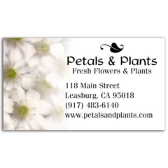 Business Card Magnet - BusinessCardMagnetDaisies