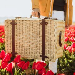 Charleston Picnic Basket - J249 8211 carry handle in use