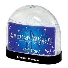 Gift Card Snow Globe - Black