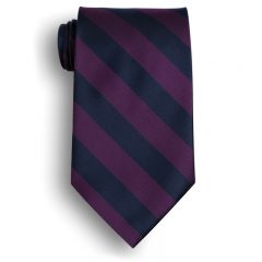 School Striped Polyester Ties - Navy Purple