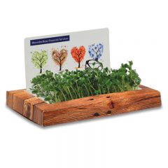 SproutScape Desktop Garden - Billboard