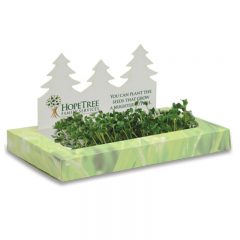 SproutScape Desktop Garden - Forest