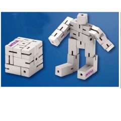 Robo Cube Puzzle - Silver