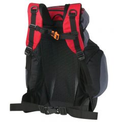 Urban Peak 32L Backpack - Back