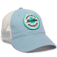 Platinum Series Washed Cotton Cap - fwt-130_light-sage-putty-logo_02webp