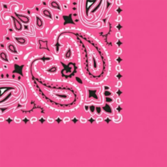 Traditional Paisley Bandanna - Fuchsiajpg