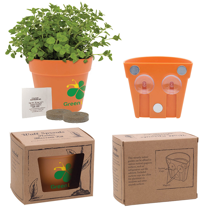 Wall Sprouts Planter Blossom Kit - a3758
