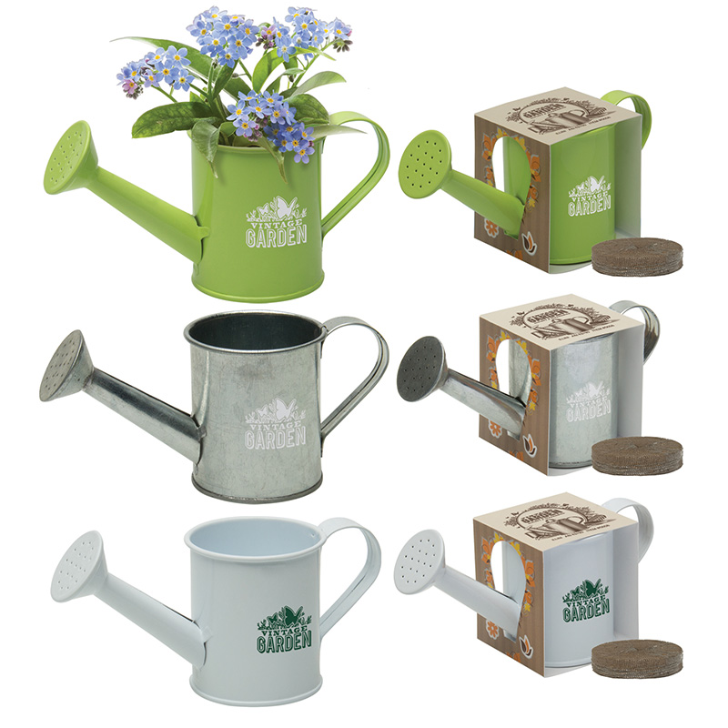 Mini Watering Can Blossom Kit - a3760