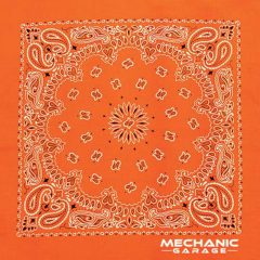 Paisley and Novelty Bandannas - a3777NeonOrange