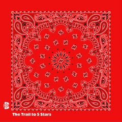 Paisley and Novelty Bandannas - a3777Red