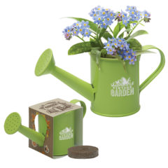 Mini Watering Can Blossom Kit - a3_2