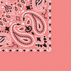 Traditional Paisley Bandanna - strawberry