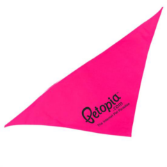 Triangle Doggie Bandana