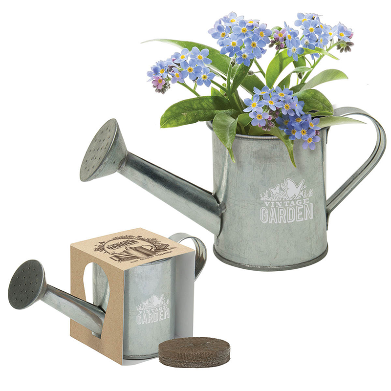 Mini Watering Can Blossom Kit - wateringcansilver