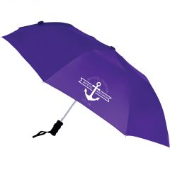 Auto Open Windproof Umbrella – 42″ - download 10