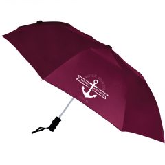 Auto Open Windproof Umbrella – 42″ - download 2