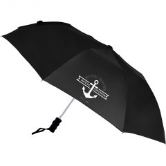 Auto Open Windproof Umbrella – 42″ - download