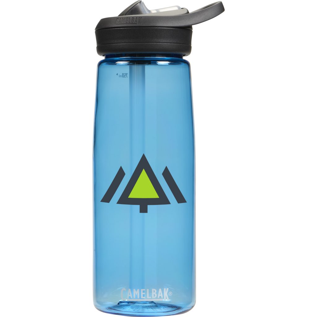 CamelBak Eddy®+ 25 oz - trueblue