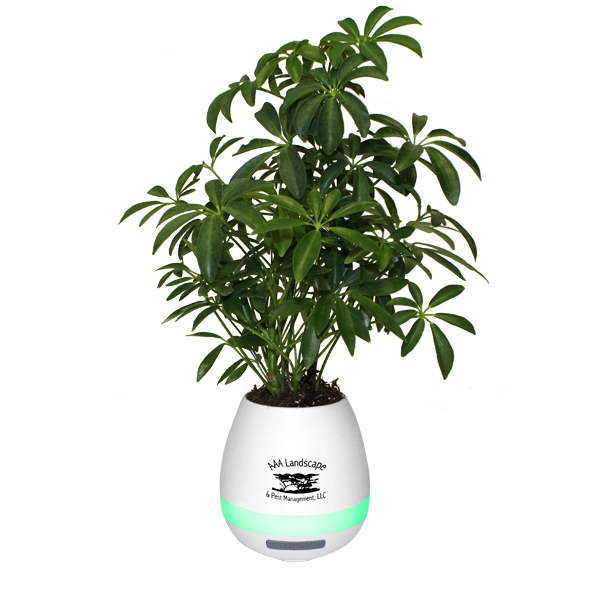 Musical Planter and Wireless Speaker - 44580_Flower_Pot_w_Real_Plant_1