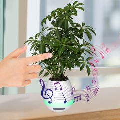 Musical Planter and Wireless Speaker - Touch_Flower_Pot_w_hand_edit