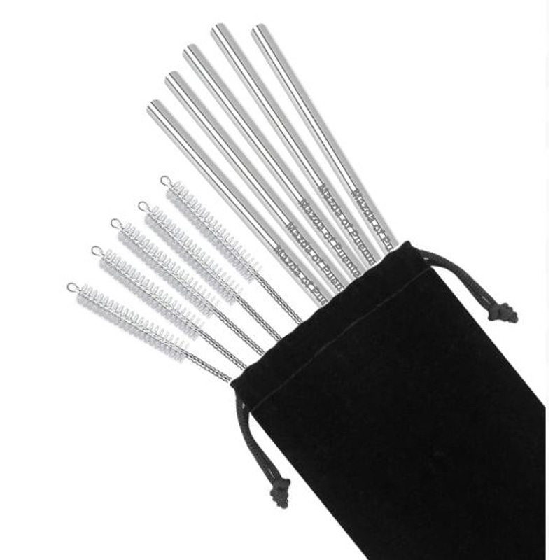 Stainless Steel Straw 5 Pack with Pipe Cleaner Brushes - Capture