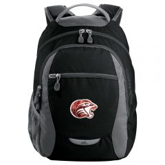 High Sierra Curve Backpack - download