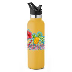 Basecamp® Mesa Tundra Bottle – 20 oz - bc5001-orange_2