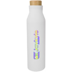 Baja Stainless Steel Bottle – 21 oz - 5356_WHT_Colorbritedrinkware