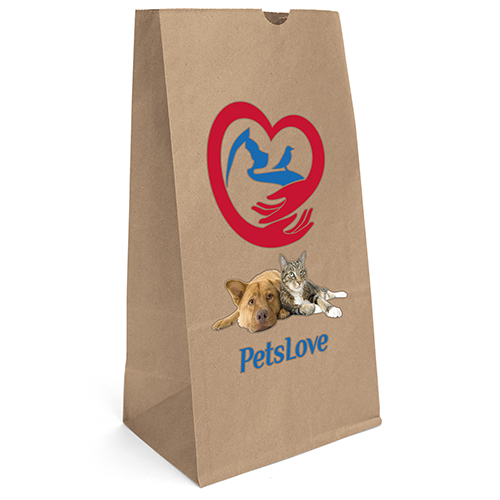 Kraft Paper Bag – 8″ x 14″ x 5″ - cvbrp20_3_6_1_500px