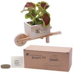 Wooden Wheel Barrow Blossom Kit - 1253