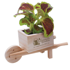 Wooden Wheel Barrow Blossom Kit - Wheelbarrowplanter