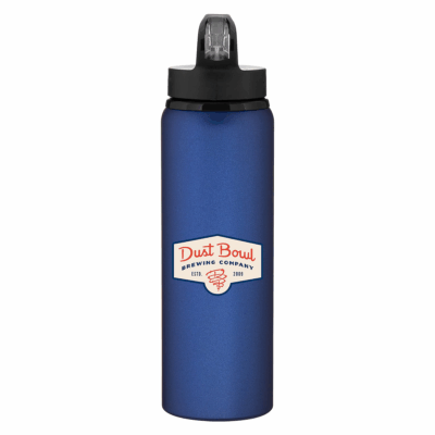 h2go allure Aluminum Water Bottle 8211 28 oz 8211 Matte Blue