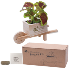 Wooden Wheel Barrow Blossom Kit - wheelbarrowkit