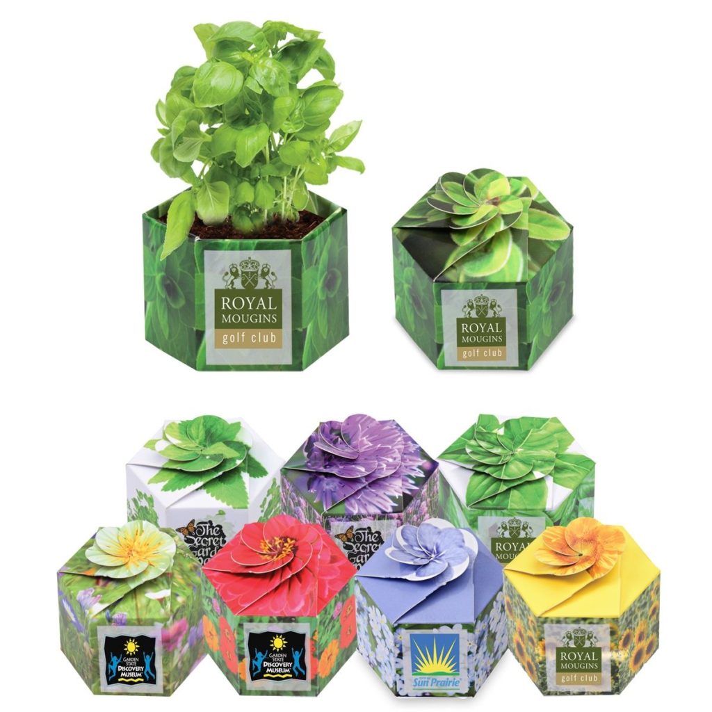 Pop Up Starter Plant Kit - NUSDF-JYAWX