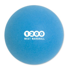 Colored Ping Pong Balls - blue