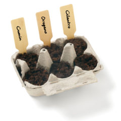 Grow Your Own: Mexican Herb Garden - jk1551planted_5749