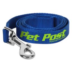 Dog Leash – Medium - l-617_blue_angle_blank