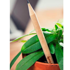 Sprout Pencil - plantyourpencil