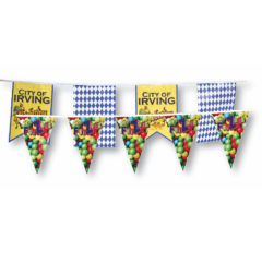 Pennant String – 30′ - image 1
