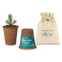 Modern Sprout® One For One Tree Kit - Modern Sprout One For One Tree Kits